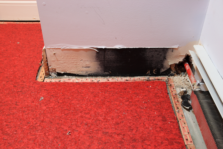 Water Damage Rancho Damage Repair